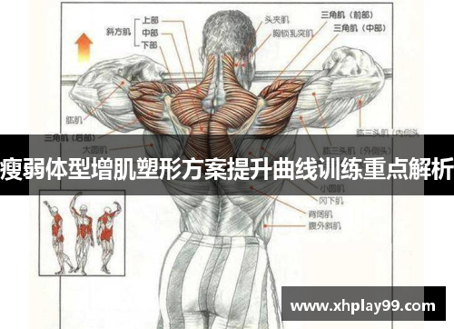 瘦弱体型增肌塑形方案提升曲线训练重点解析